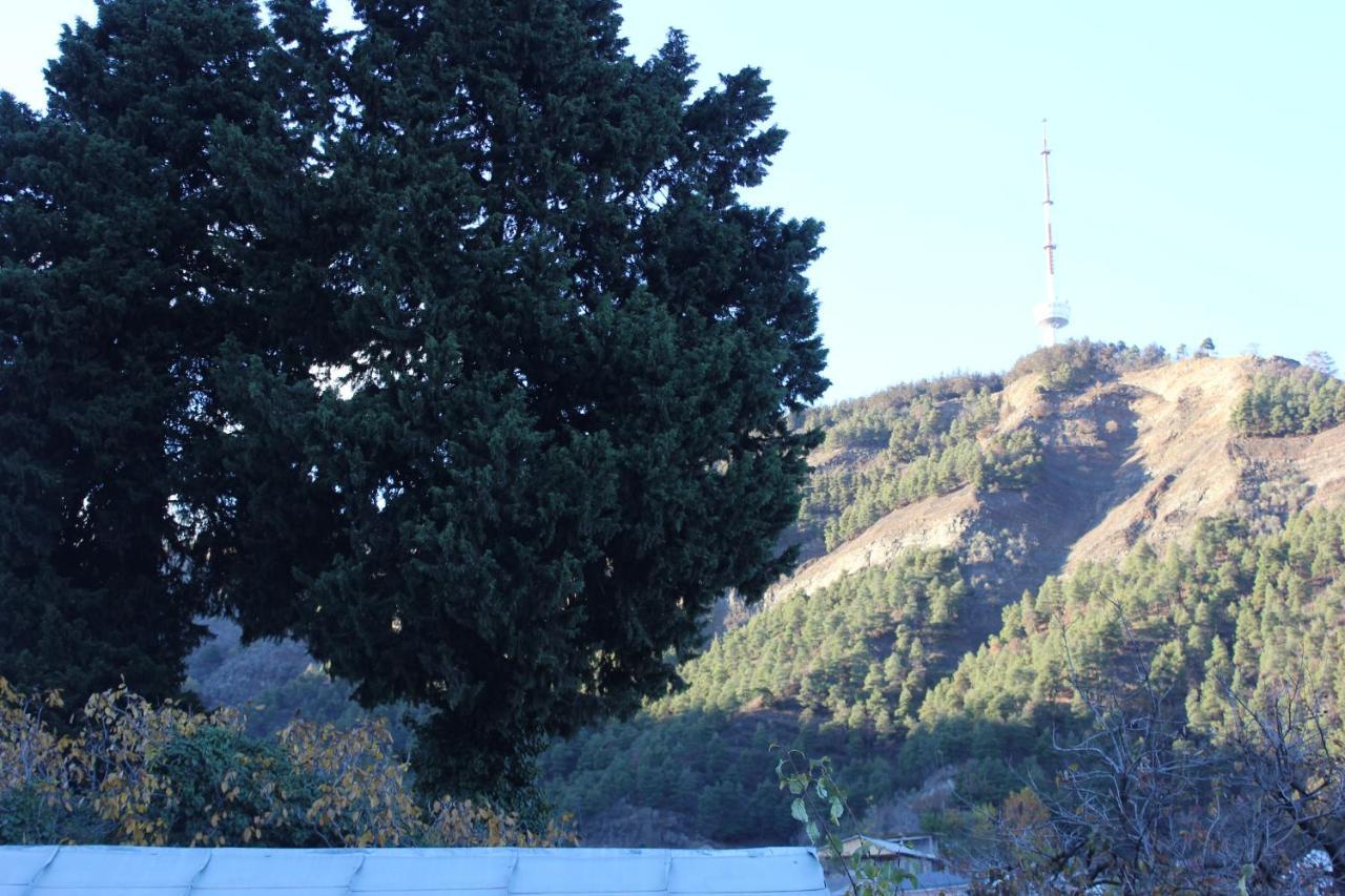 Old District Guest House Τυφλίδα Εξωτερικό φωτογραφία